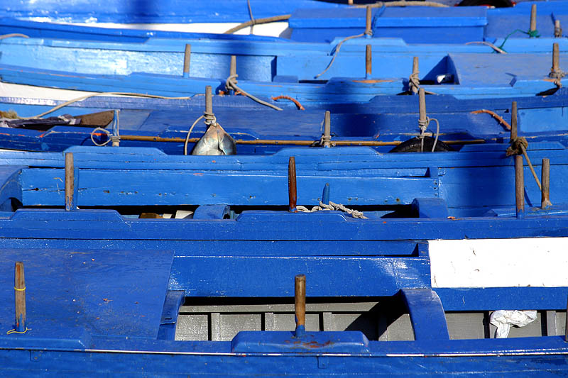 Photo of Blue boats