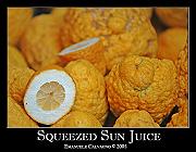 Photo of Squeezed Sun Juice