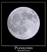 Photo of Plenilunio